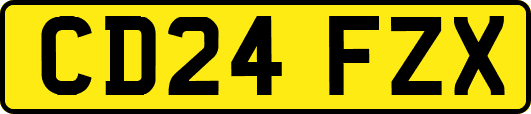 CD24FZX
