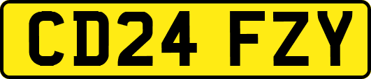 CD24FZY