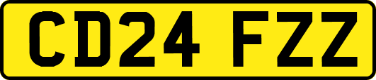 CD24FZZ
