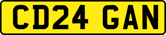 CD24GAN