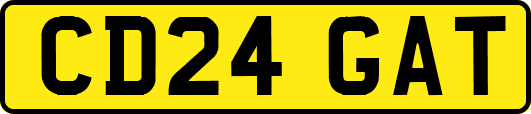 CD24GAT