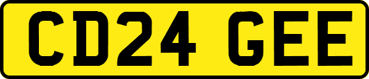 CD24GEE
