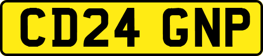 CD24GNP
