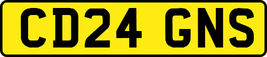 CD24GNS