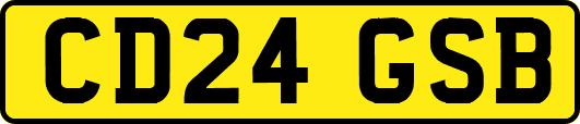 CD24GSB