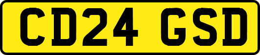 CD24GSD