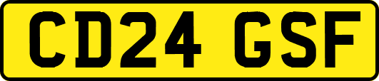 CD24GSF