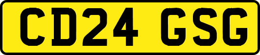 CD24GSG