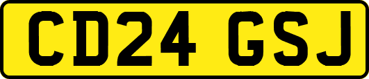 CD24GSJ