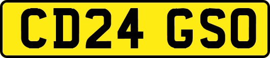 CD24GSO