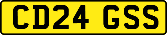 CD24GSS