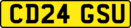 CD24GSU