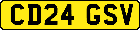 CD24GSV