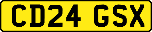 CD24GSX