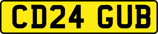 CD24GUB