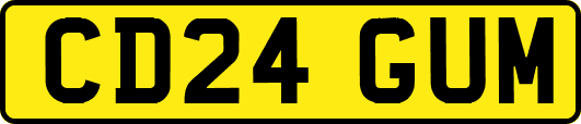 CD24GUM
