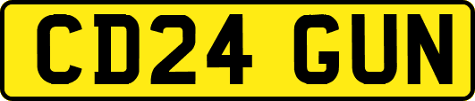 CD24GUN