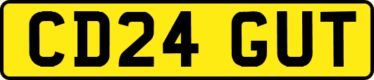 CD24GUT