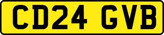 CD24GVB