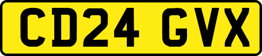 CD24GVX