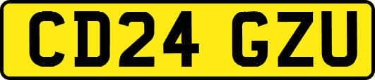 CD24GZU