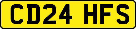 CD24HFS