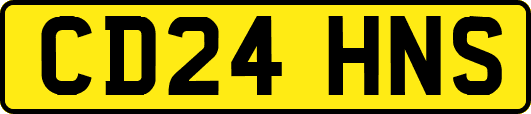 CD24HNS