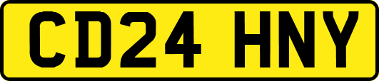 CD24HNY