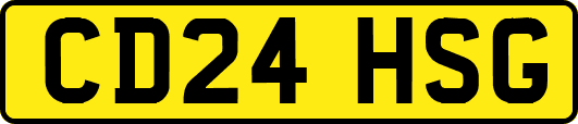 CD24HSG