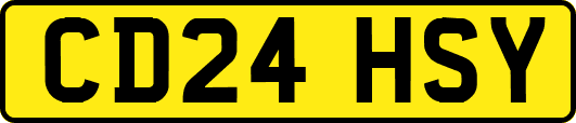 CD24HSY