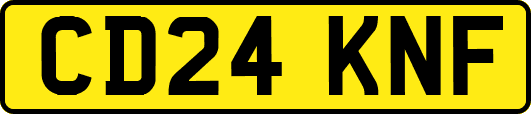 CD24KNF