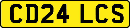 CD24LCS