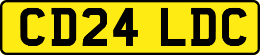 CD24LDC