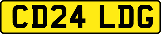 CD24LDG