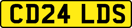 CD24LDS