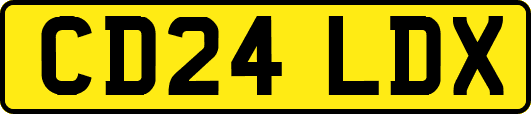 CD24LDX