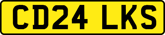 CD24LKS
