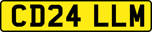 CD24LLM