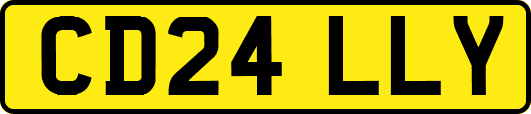 CD24LLY