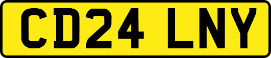 CD24LNY