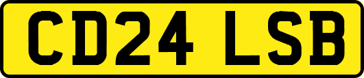 CD24LSB
