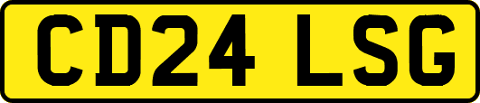 CD24LSG
