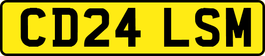 CD24LSM
