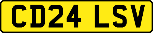CD24LSV