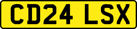 CD24LSX