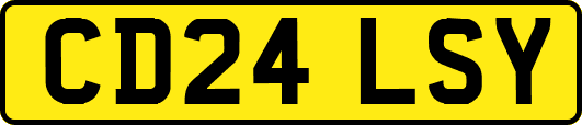 CD24LSY