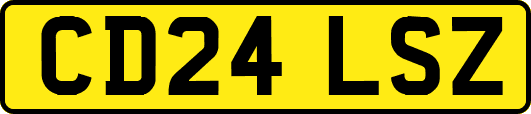 CD24LSZ