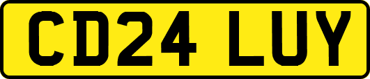 CD24LUY