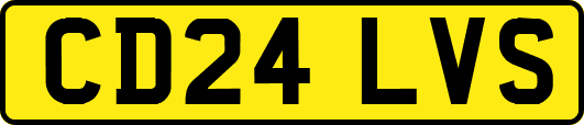 CD24LVS
