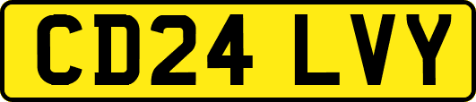 CD24LVY